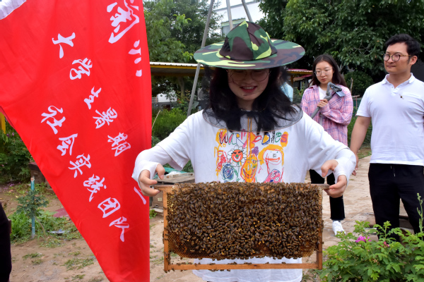 走進蜜蜂王國領(lǐng)略養(yǎng)蜂文化——經(jīng)濟管理學院“非遺助農(nóng)產(chǎn)業(yè)營銷”指導(dǎo)實踐團走進農(nóng)戶