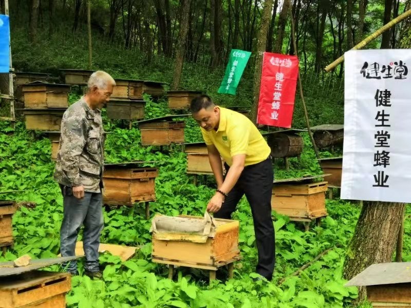 四川健生堂以全產業(yè)鏈發(fā)展成就現(xiàn)代特色蜂業(yè)