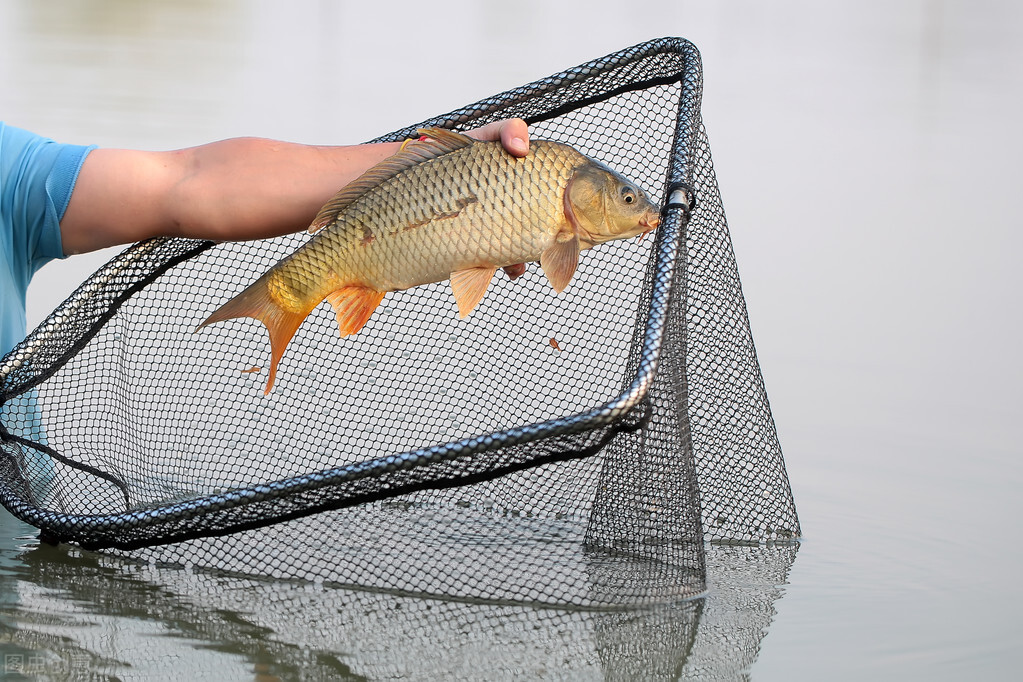 釣魚人常遇到的5件“怪事”，我相信你也遇到過，我遇到好幾次