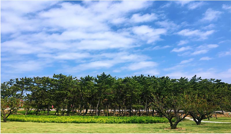 有篝火、有星空！山東私藏的這些自駕露營地景美人少，現(xiàn)在就出發(fā)！