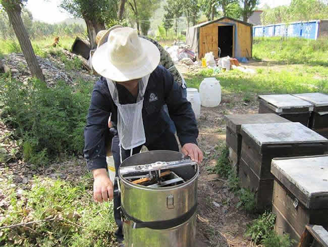 如何在有子脾情況下取蜜？