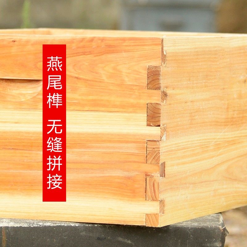 蜂王幾月份停止產(chǎn)卵（蜂群沒(méi)有蜂蛹怎么辦）